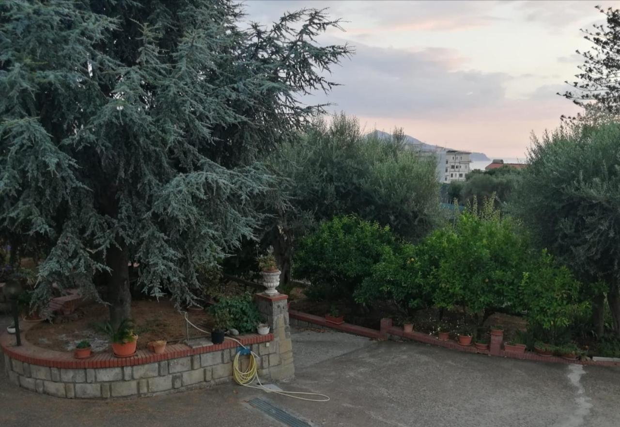 Villa Giannina 马萨鲁布朗斯 外观 照片